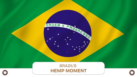 Brazil’s Hemp Moment – Why the 0.3% THC Rule May Be Holding the Market Back