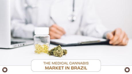 The Medical Cannabis Market in Brazil – A System Under Construction
