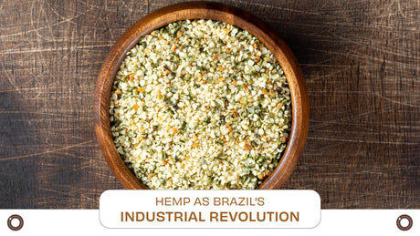 Beyond Medicine – Hemp as Brazil’s Green Industrial Revolution