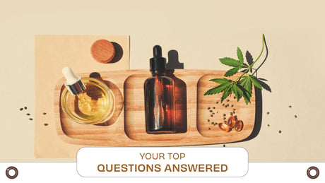 CBD FAQs: Your Top Questions Answered - Hemspot