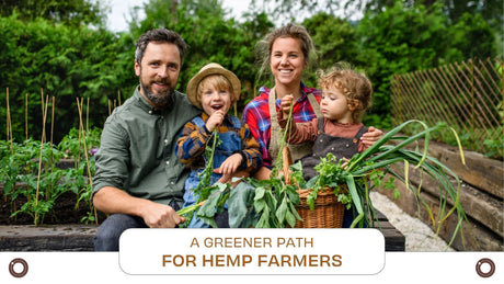 Regenerative Agriculture: A Greener Path for Hemp Farmers - Hemspot