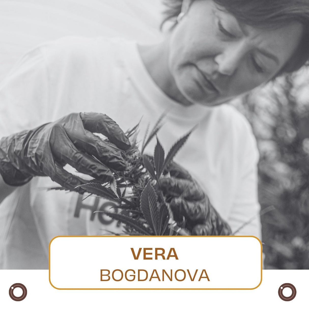 1 - Hour Session with Vera Bogdanova - Hemspot