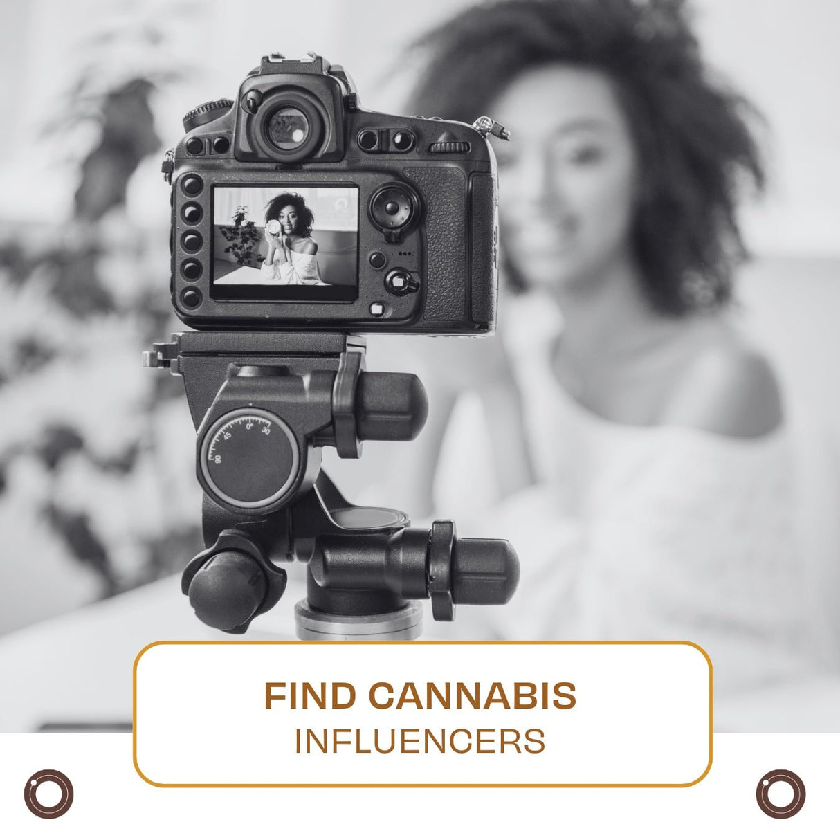 Find Cannabis Influencers - Hemspot