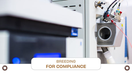 Breeding for Compliance: Genetics as the First Line of Defense Against THC Risk