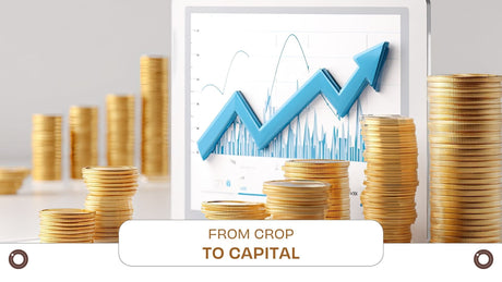 From Crop to Capital: How Genetics Shape Scalability and Long-Term Value