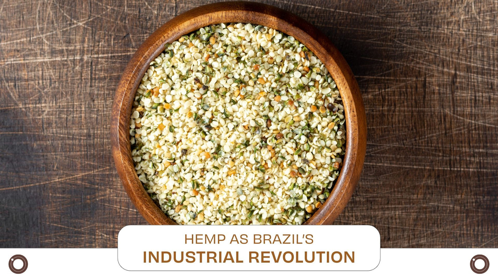 Beyond Medicine – Hemp as Brazil’s Green Industrial Revolution