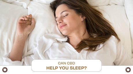 Can CBD Help You Sleep? - Hemspot