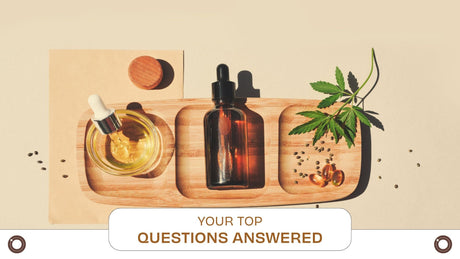 CBD FAQs: Your Top Questions Answered - Hemspot