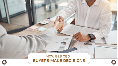 How B2B CBD Buyers Make Decisions (and How to Win Them Over) - Hemspot