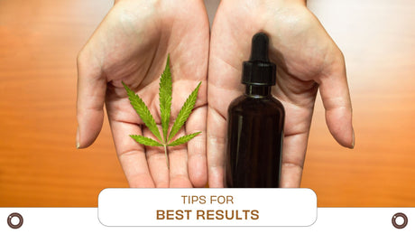 How to Use CBD Oil: Tips for Best Results - Hemspot