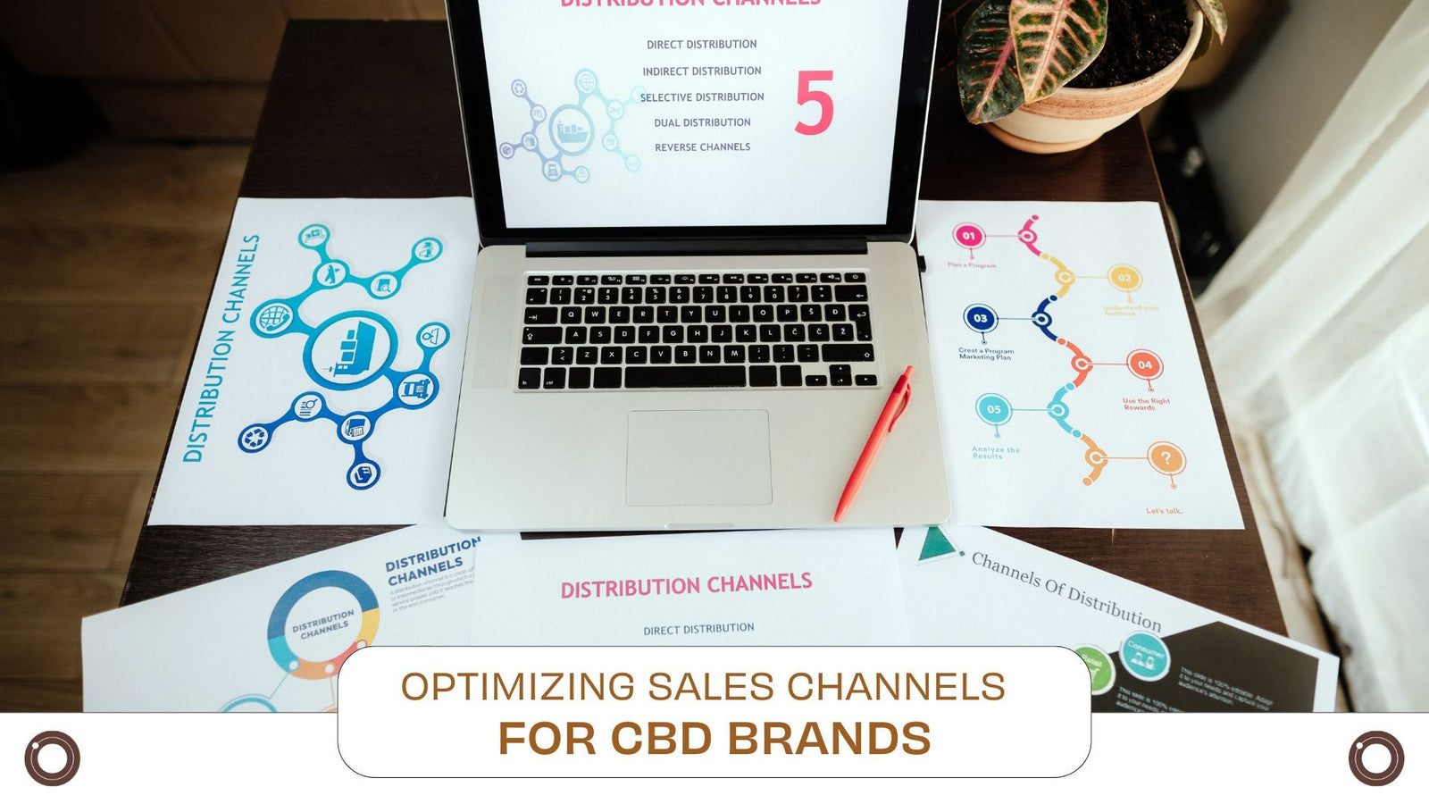 Optimising Sales Channels for CBD Brands - Hemspot