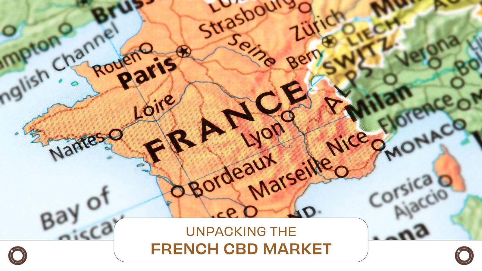 Unpacking the French CBD Market: Trends, Opportunities, and Consumer Insigh - Hemspot