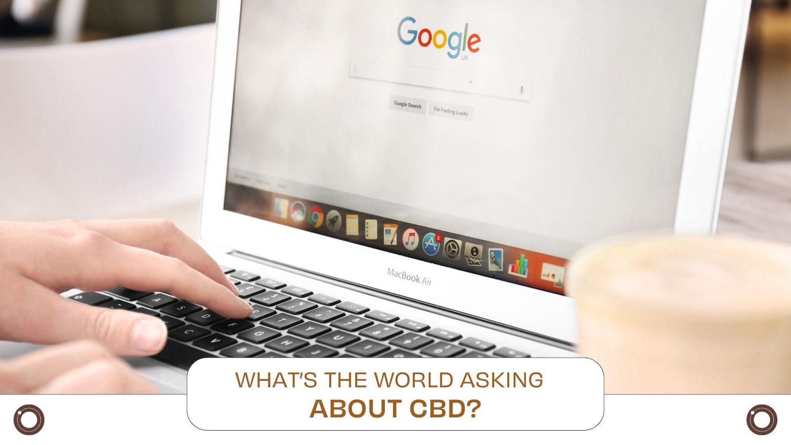 What’s the World Asking About CBD? - Hemspot