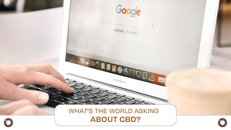 What’s the World Asking About CBD? - Hemspot