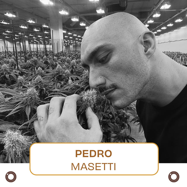 1 - Hour Session with Pedro Masetti - Hemspot