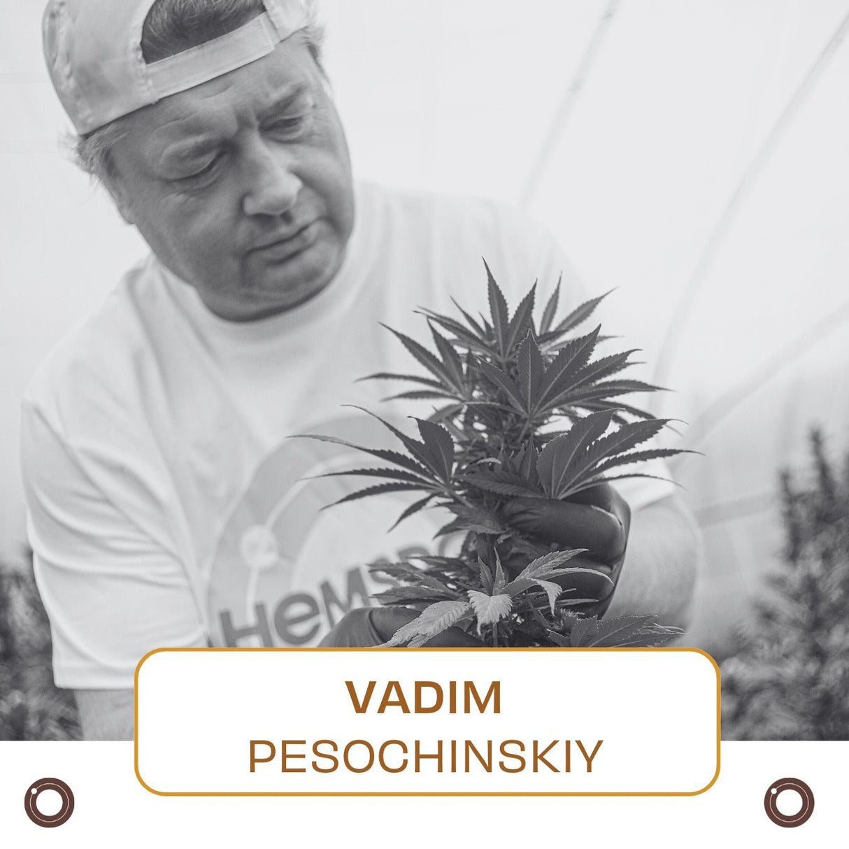 1 - Hour Session with Vadim Pesochinskiy - Hemspot