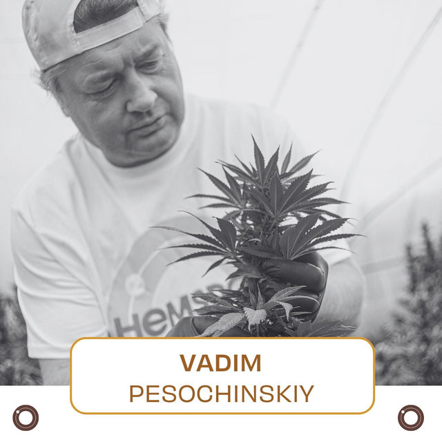 1 - Hour Session with Vadim Pesochinskiy - Hemspot