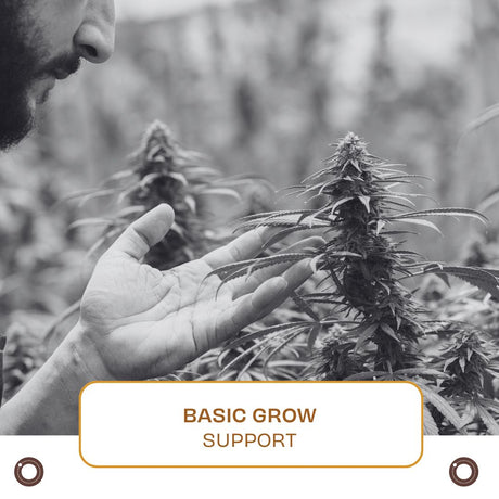 Basic Grow Support - Hemspot