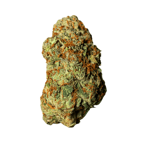 Berry Buddha Seeds - Hemspot