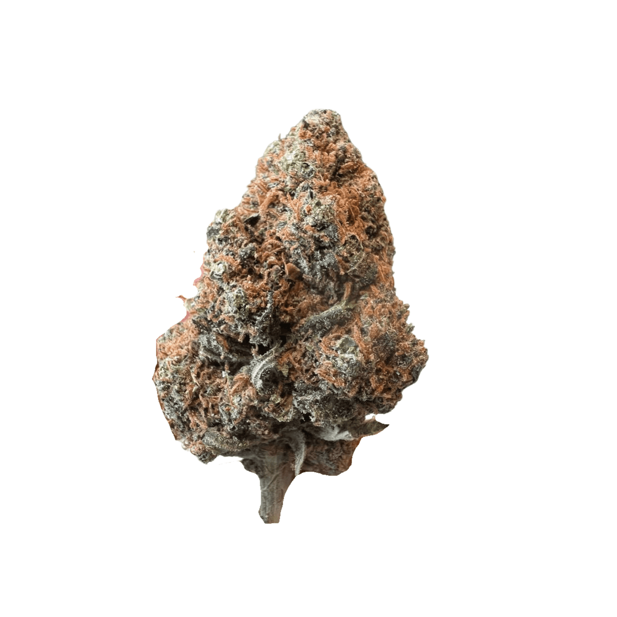 Caramelo CBD Seeds - Hemspot