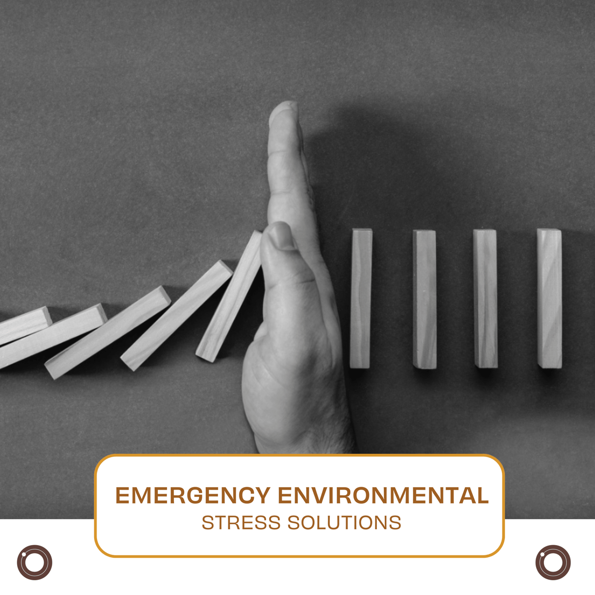 Emergency Environmental Stress Solutions - Hemspot