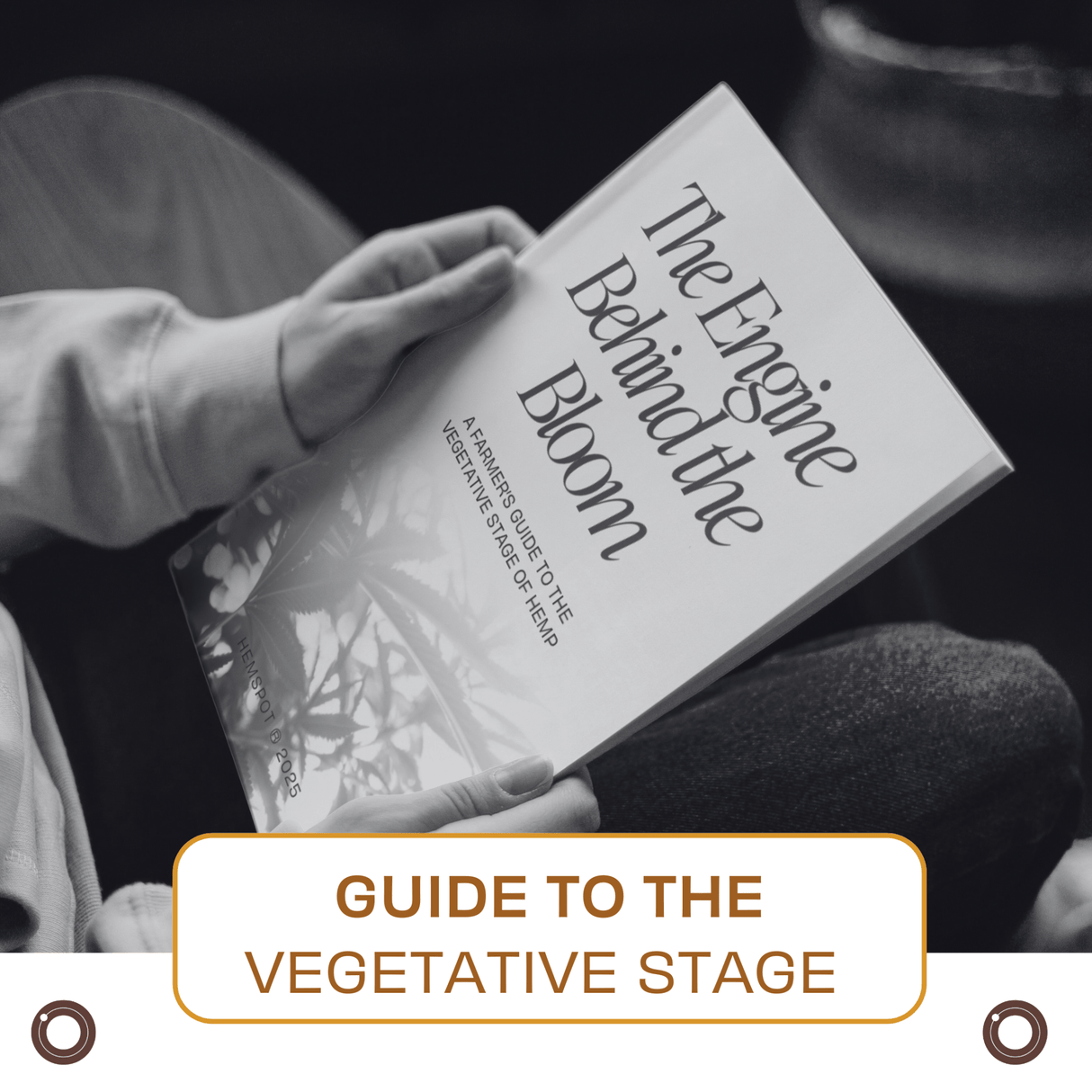 Farmer’s Guide to the Vegetative Stage [EN | FR] - Hemspot