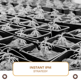 Instant IPM Strategy - Hemspot