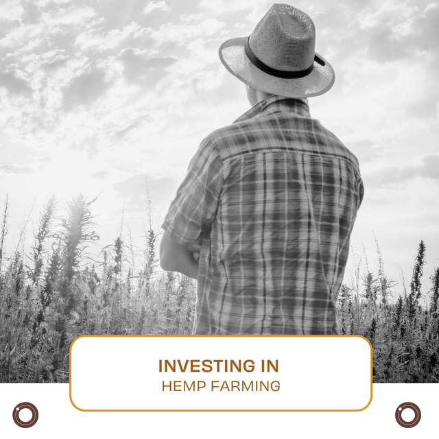 Investing in Hemp Farming - Hemspot