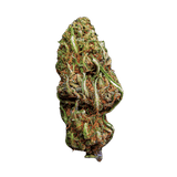 Peach Buddha S5 Seeds - Hemspot