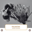 Pollination Monitoring - Hemspot